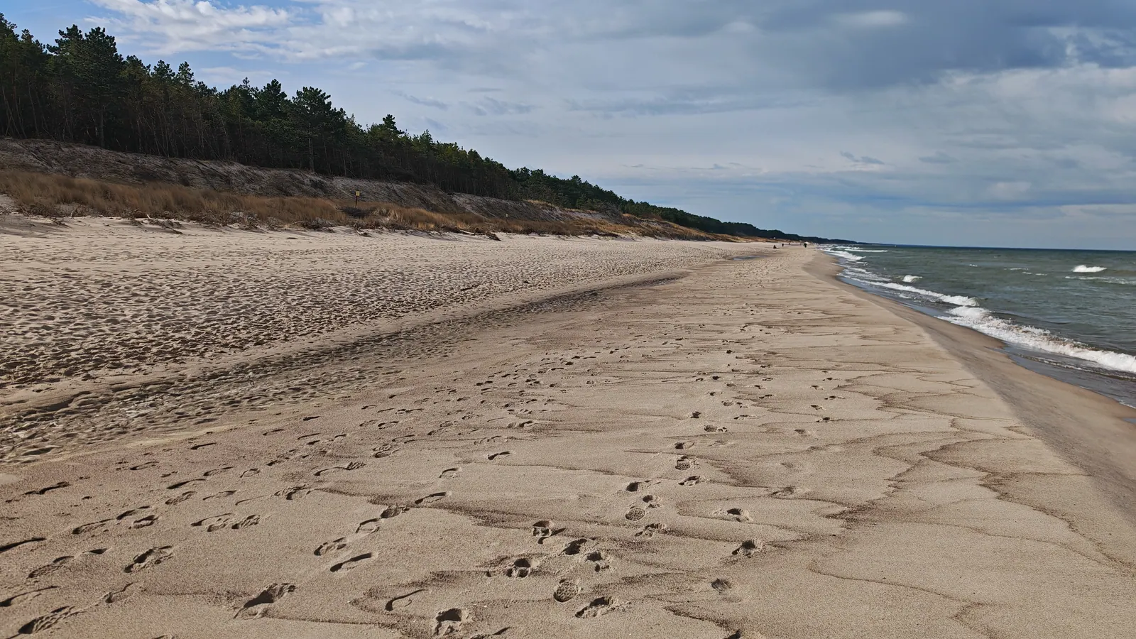Plaża w Dąbkach z piaszczystym brzegiem, wydmami i linią Bałtyku.