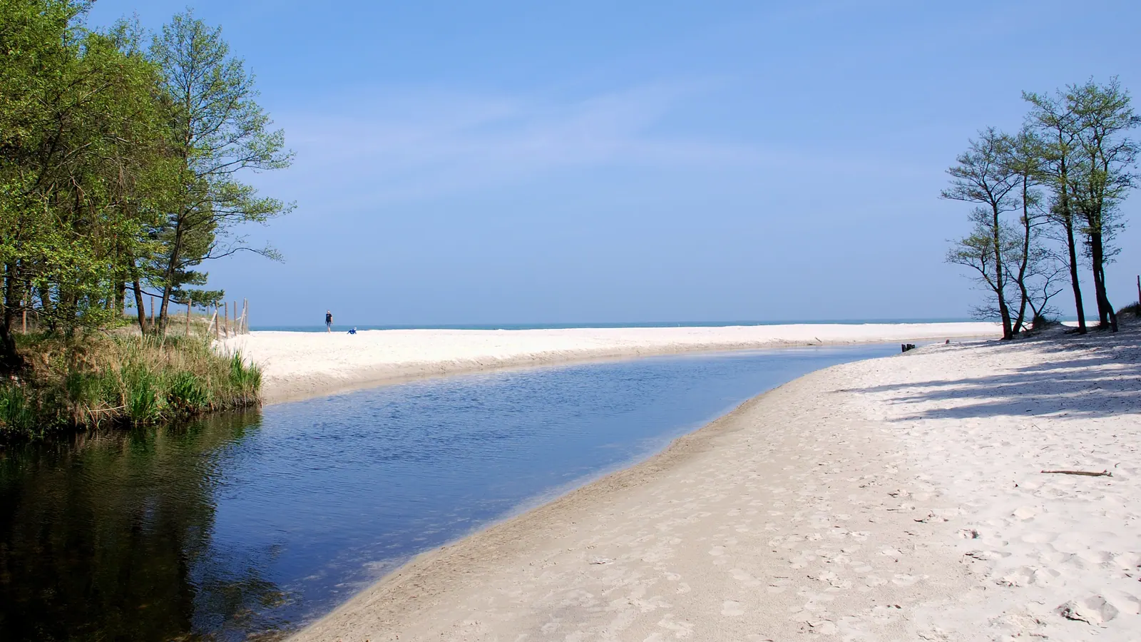 Ujście Piaśnicy do Bałtyku w Dębkach, z piaszczystą plażą i spokojną wodą.